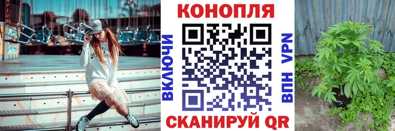 как найти закладки  Макаров  Каннабис гибрид 